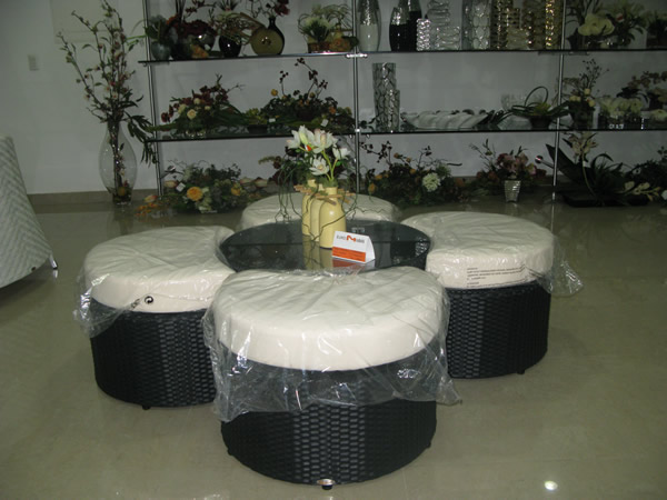 Euro Mobili está ubicada en la calle Reinaldo Hahn, entre Av. Teresa de