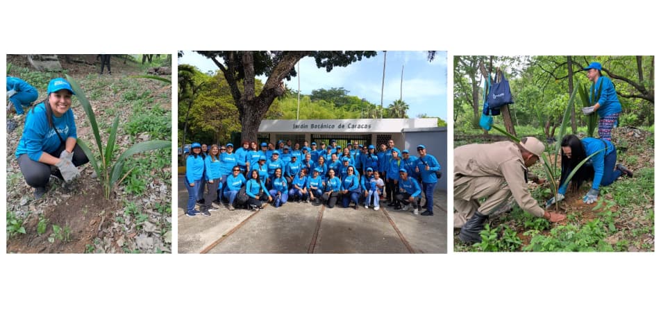 Bancaribe celebra el Día Mundial del Reciclaje con jornada de siembra en el Jardín Botánico de Caracas